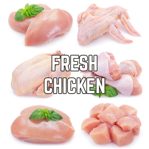 fresh chicken