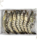 Frozen Black Tiger Prawns HOSO 16-20