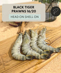 Tiger Prawns 16/20 HOSO