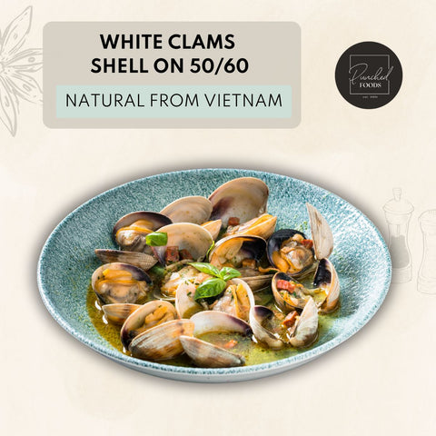 Frozen White Clams Shell On 50/60